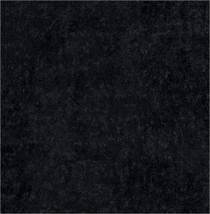 Daytona Coal